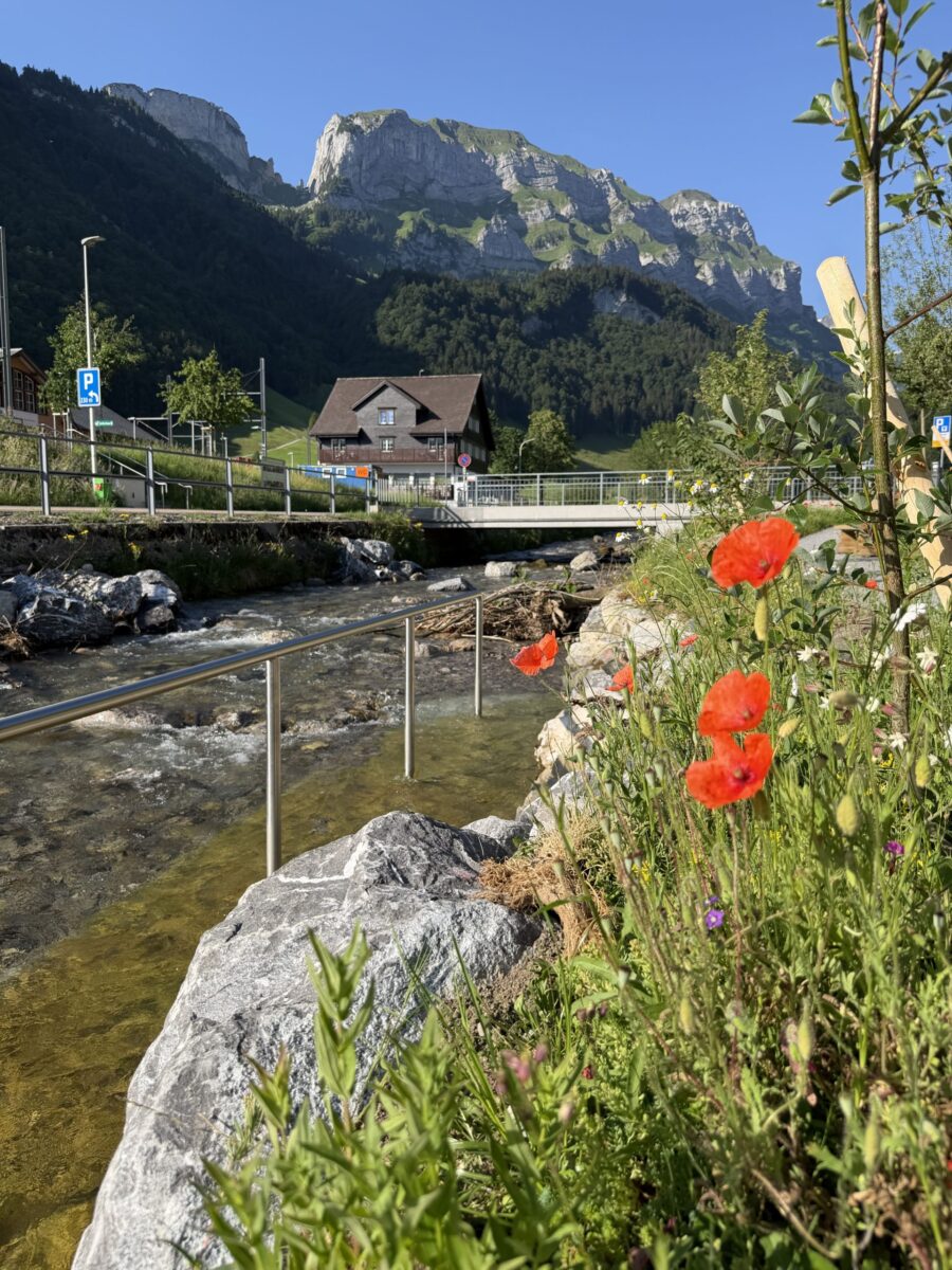 Sanierung Kneippanlage