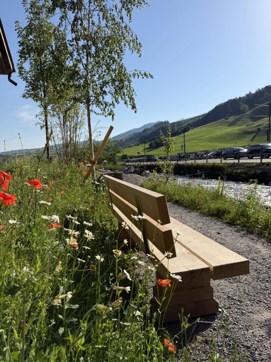 Sanierung Kneippanlage